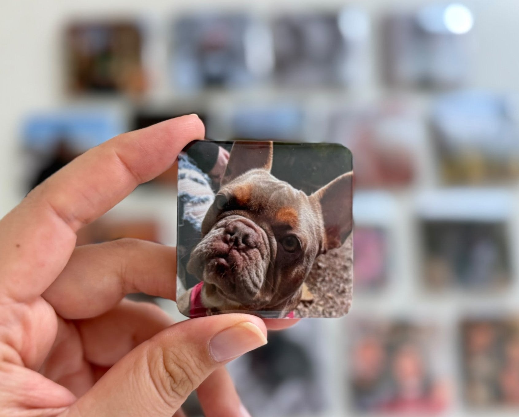 Custom Photo Magnets